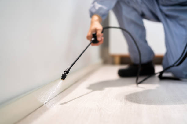 Rodent Entry Point Assessment in Carbondale