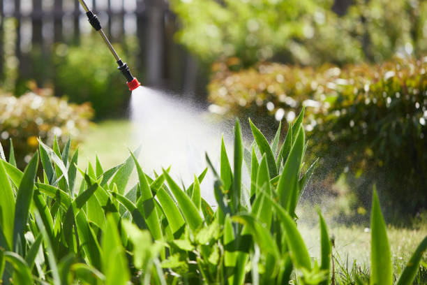 Tamper-Resistant Bait Stations for Rodents in Carbondale