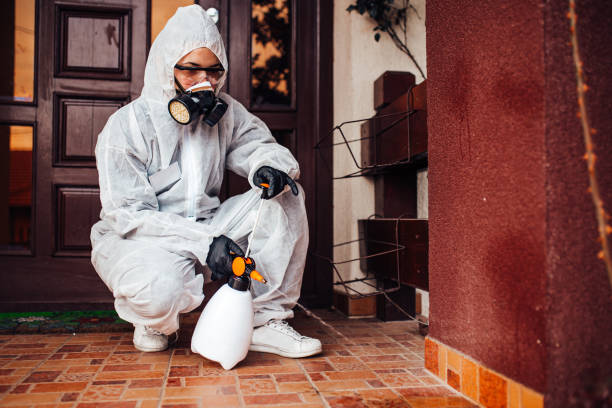 Attic and Crawl Space Rodent Treatment in Carbondale