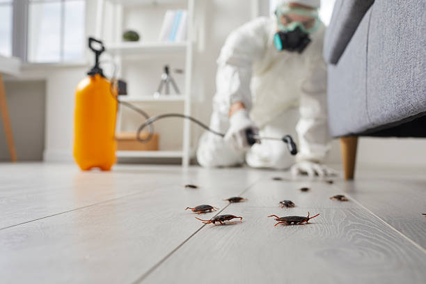 Commercial Rodent Management in Carbondale